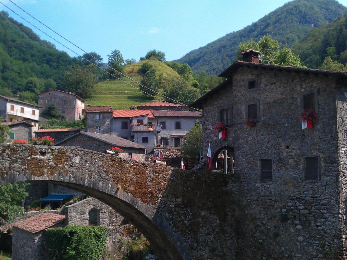 San Quirico  Belvilla By Oyo Olivi Verde المظهر الخارجي الصورة