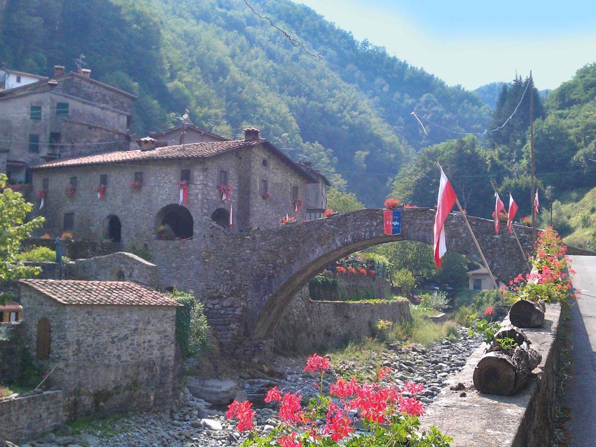 Belvilla By Oyo Olivi Verde San Quirico  المظهر الخارجي الصورة