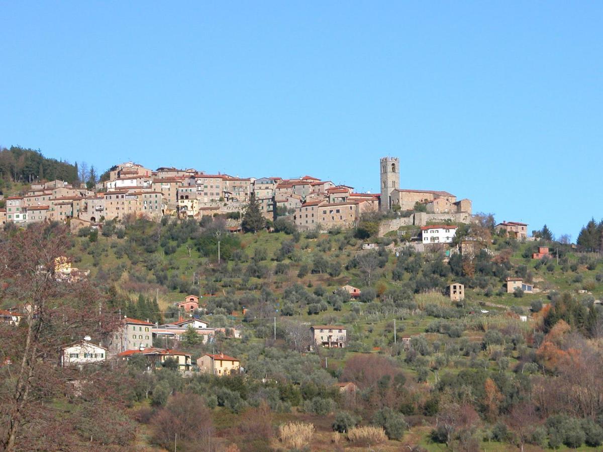 San Quirico  Belvilla By Oyo Olivi Verde المظهر الخارجي الصورة