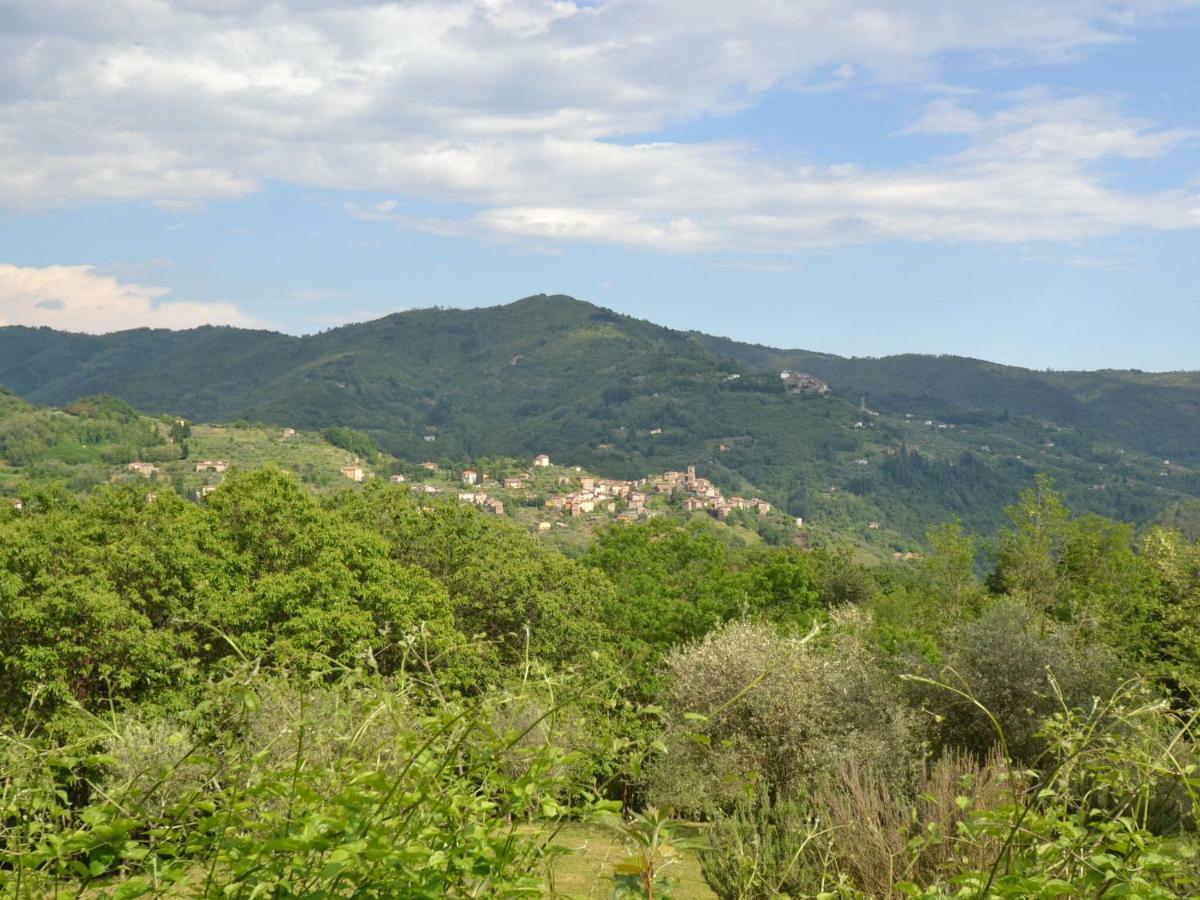 Belvilla By Oyo Olivi Verde San Quirico  المظهر الخارجي الصورة